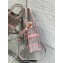 Dior Mini Dioriviera Book Tote Phone Bag in Gray and Pink Toile de Jouy Reverse Embroidery