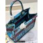 Dior Small Book Tote Bag in Multicolor Toile de Jouy Voyage Embroidery Blue