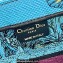 Dior Small Book Tote Bag in Multicolor Toile de Jouy Voyage Embroidery Blue