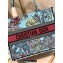 Dior Medium Book Tote Bag in Multicolor Toile de Jouy Voyage Embroidery Blue