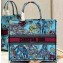 Dior Large Book Tote Bag in Multicolor Toile de Jouy Voyage Embroidery Blue