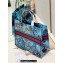 Dior Large Book Tote Bag in Multicolor Toile de Jouy Voyage Embroidery Blue