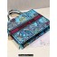 Dior Large Book Tote Bag in Multicolor Toile de Jouy Voyage Embroidery Blue