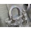 Lady Dior Small Bag in Iridescent and Cannage Lambskin Silver
