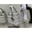 Lady Dior Small Bag in Iridescent and Cannage Lambskin Silver