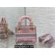 Lady Dior Mini D-Lite Bag  in Pink and Gray Toile de Jouy Sauvage Embroidery