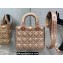 Lady Dior Small Bag in Iridescent and Cannage Lambskin Pink Gold