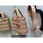 Lady Dior Small Bag in Iridescent and Cannage Lambskin Pink Gold