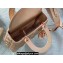 Lady Dior Small Bag in Iridescent and Cannage Lambskin Pink Gold