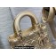 Lady Dior Small Bag in Iridescent and Cannage Lambskin Gold