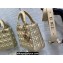 Lady Dior Small Bag in Iridescent and Cannage Lambskin Gold
