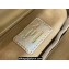Lady Dior Small Bag in Iridescent and Cannage Lambskin Gold