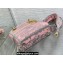 Lady Dior Mini D-Lite Bag  in Pink and Gray Toile de Jouy Sauvage Embroidery