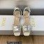 Dior Heel 3.5cm La Parisienne Sandals in Patent Calfskin White 2023