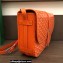 Goyard Belvedere MM Strap Bag Orange
