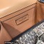 Valentino VSLING Shoulder Small Bag Nude WITH SPARKLING EMBROIDERY 2023