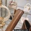 Miu Miu Leather Ankle Boots Brown with straps and buckles 2023