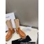Celine Short Boots WITH TRIOMPHE In Calfskin Brown 2023