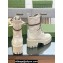 Gucci GG Matelassé lace-up boots 718386 White 2023