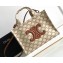 Celine Small Cabas Thais Bag In Textile With Triomphe Canvas Print And Calfskin 199162 2023