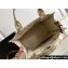 Celine Small Cabas Thais Bag In Textile With Triomphe Canvas Print And Calfskin 199162 2023