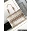 Celine Large Cabas Thais Bag In Striped Textile With Celine Jacquard 196762 Beige/Brown 2023