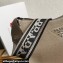 Prada Leather hobo bag 1BC073 Gray 2023