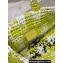 Prada Raffia-effect yarn Small crochet tote bag 1BG422 White/Green