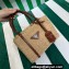 Prada Braided Straw and leather tote bag 1BG336 Beige