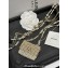 Chanel Pearl Card Holder with Chain 2023