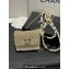 Chanel Pearl Card Holder with Chain 2023