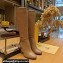 Fendi Heel 10cm Delfina leather high-heeled boots Camel with Straps 2023