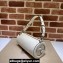 Gucci Blondie small shoulder bag 760169 White 2023