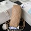 Chanel Lambskin & Gold-Tone Metal Badges Mini Flap Bag AS4274 Beige 2023