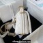Chanel Lambskin & Gold-Tone Metal Mini Flap Bag AS4340 White 2023