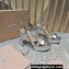 Miu Miu Heel 12.5cm platform 2.5cm Crisscross sandals Silver with crystals 2023