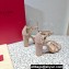 Valentino Heel 10cm Rockstud Leather Chunky-heel Sandals Nude