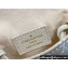 Louis Vuitton Monogram Canvas Pochette Cancun Pouch Bag M60018 Beige 2023