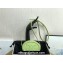 Celine CROSSBODY OVAL PURSE cuir triomphe in SMOOTH CALFSKIN 101703 Light Green