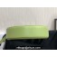 Celine CROSSBODY OVAL PURSE cuir triomphe in SMOOTH CALFSKIN 101703 Light Green