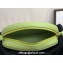 Celine CROSSBODY OVAL PURSE cuir triomphe in SMOOTH CALFSKIN 101703 Light Green