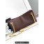 Celine NEWSPAPER CHAIN BAG TRIOMPHE SOFT in SUPPLE CALFSKIN 114253 Chestnut