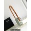 Celine SHOULDER BAG triomphe in TRIOMPHE Canvas and Calfskin 194143 Green