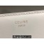 Celine SHOULDER BAG triomphe in Shiny calfskin 194143 White