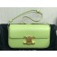Celine SHOULDER BAG triomphe in Shiny calfskin 194143 Light Green