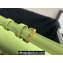 Celine SHOULDER BAG triomphe in Shiny calfskin 194143 Light Green