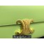 Celine SHOULDER BAG triomphe in Shiny calfskin 194143 Light Green