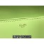 Celine SHOULDER BAG triomphe in Shiny calfskin 194143 Light Green