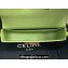 Celine SHOULDER BAG triomphe in Shiny calfskin 194143 Light Green