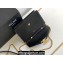 Celine WALLET ON CHAIN triomphe Bag in Shiny calfskin 10J733 Black/Gold